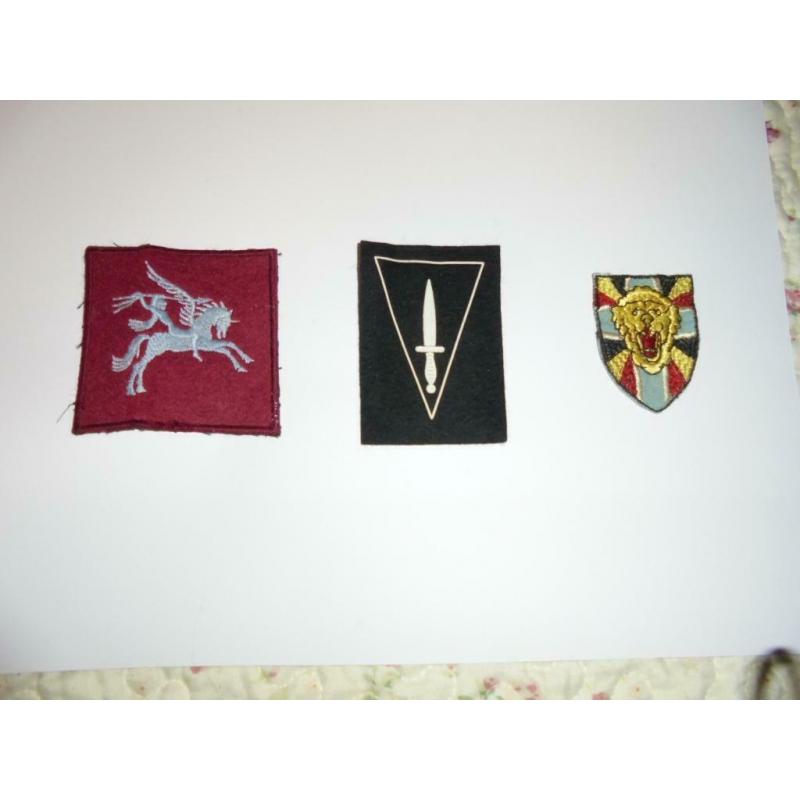 insignes para