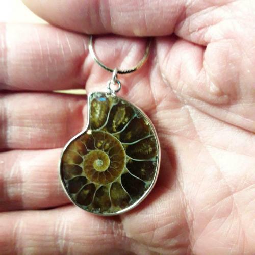 Collier ammonite en argent 925