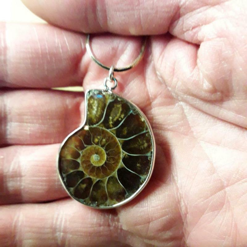 Collier ammonite en argent 925