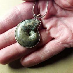 Collier ammonite en argent 925