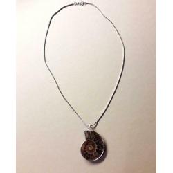 Collier ammonite en argent 925
