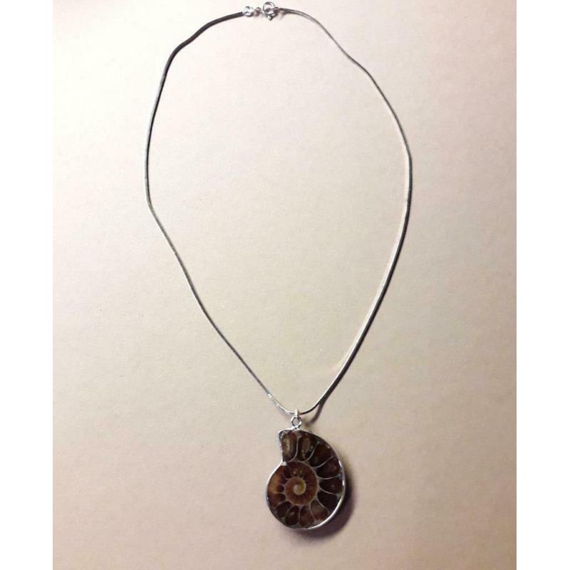 Collier ammonite en argent 925