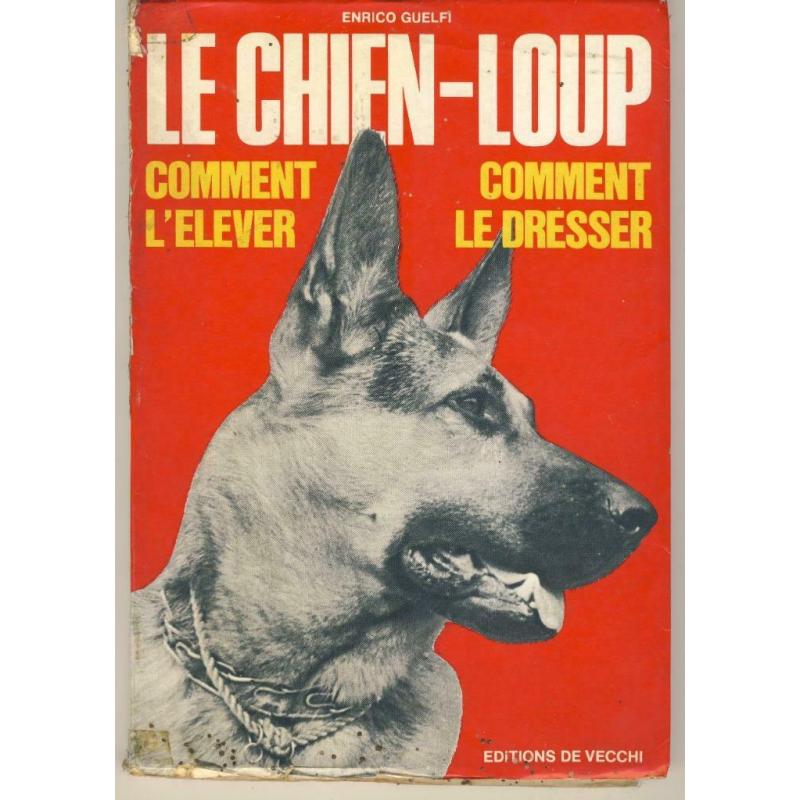 Le berger allemand - le chien Loup