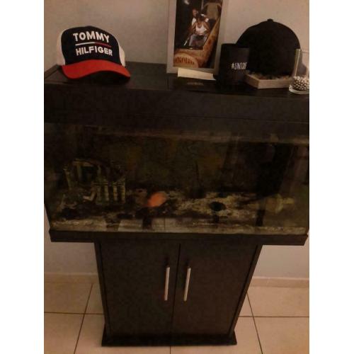 Aquarium