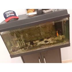 Aquarium