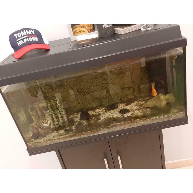 Aquarium