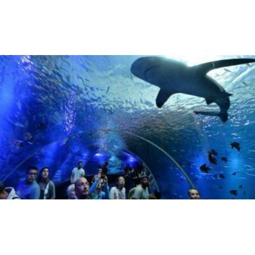 Places Nausicaa