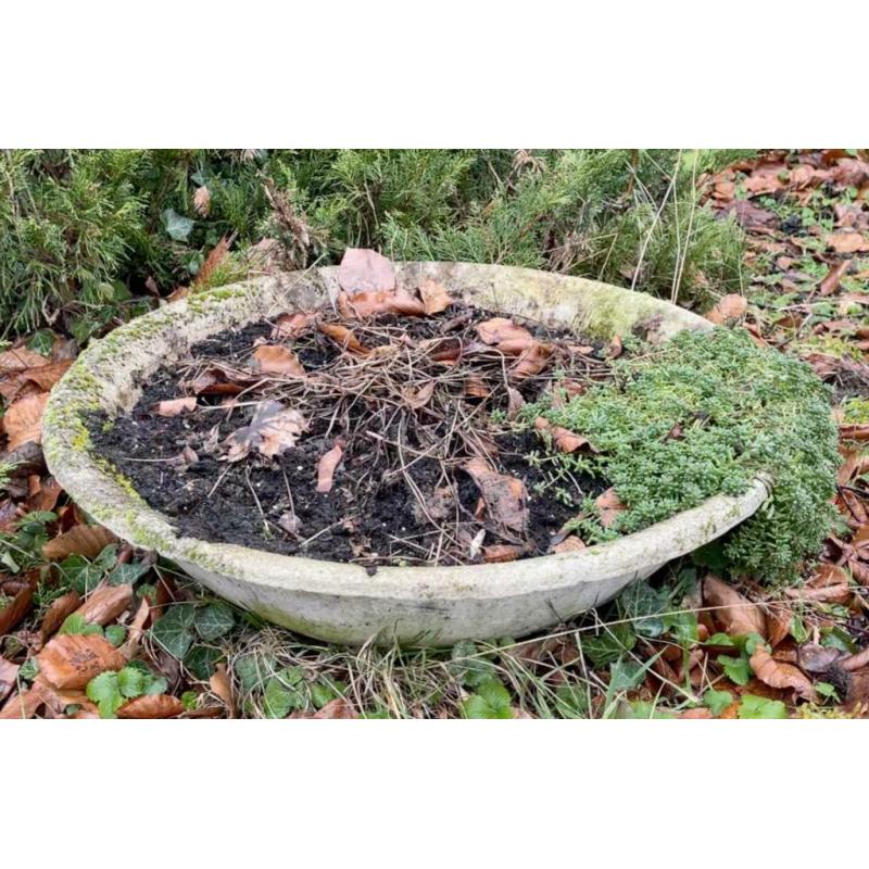 Cherche ces jardinières en Eternit
