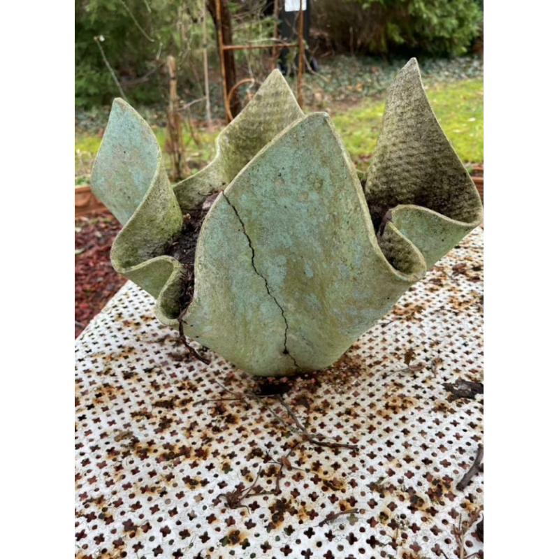 Cherche ces jardinières en Eternit