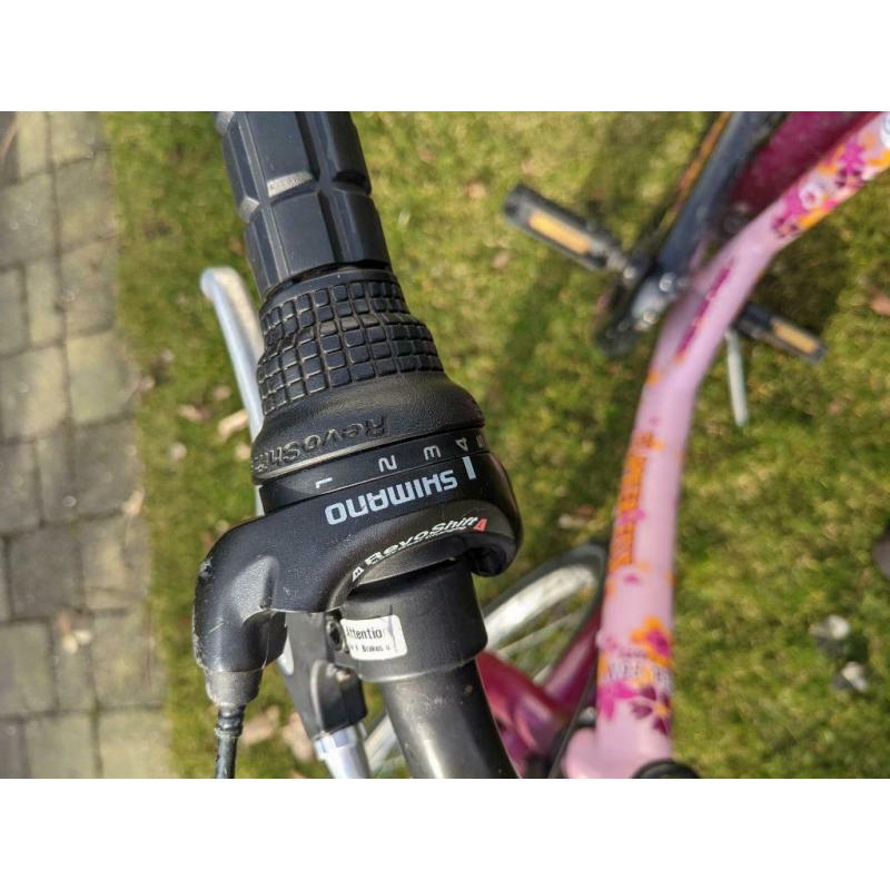 Meisjesfiets 20inch