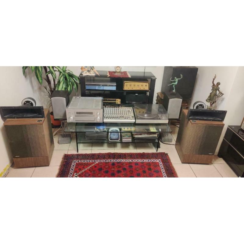 Bose speaker model 501