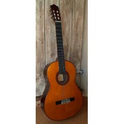 Yamaha g245s.