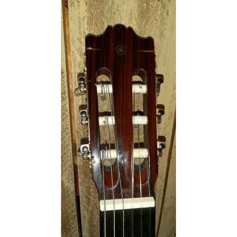 Yamaha g245s.