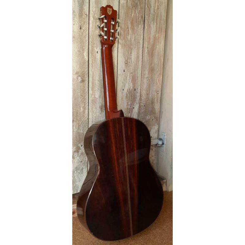 Yamaha g245s.