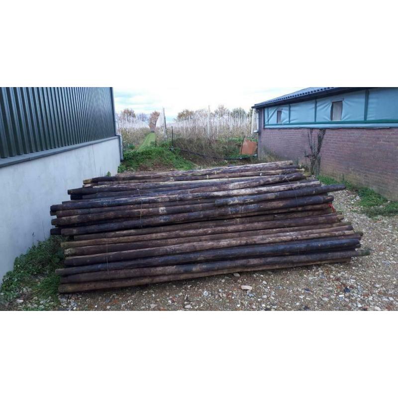 Poteaux de prairie / poteaux d'arbres fruitiers de 3 mètres