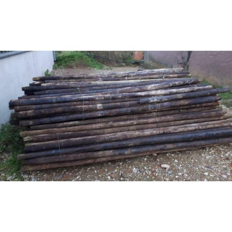 Poteaux de prairie / poteaux d'arbres fruitiers de 3 mètres