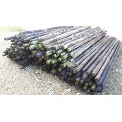 Poteaux de prairie / poteaux d'arbres fruitiers de 3 mètres