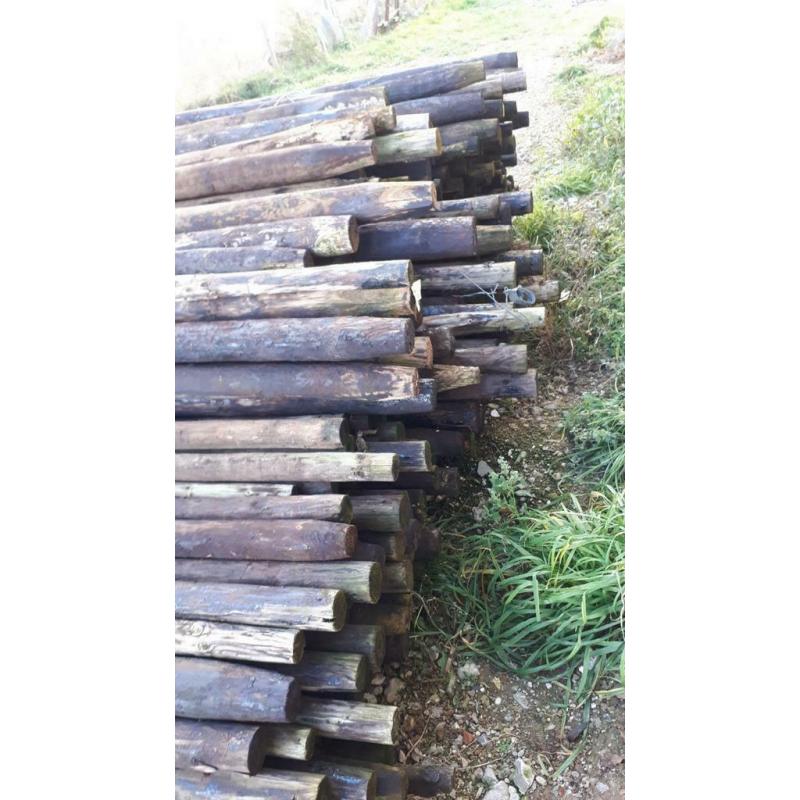 Poteaux de prairie / poteaux d'arbres fruitiers de 3 mètres